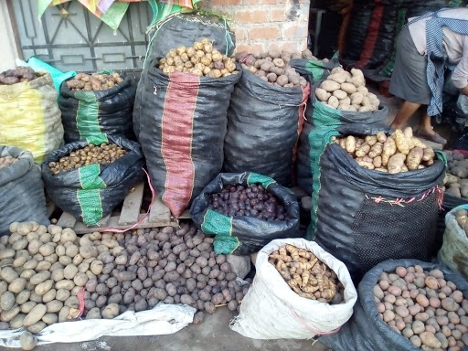 OptimusAyacucho (Mercado Triangulo - Nery Garcia)