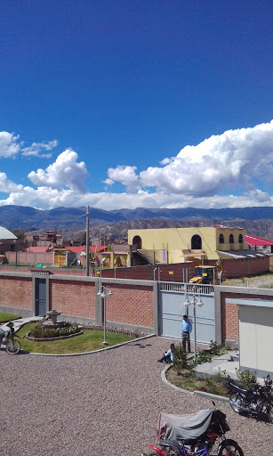 Local 
