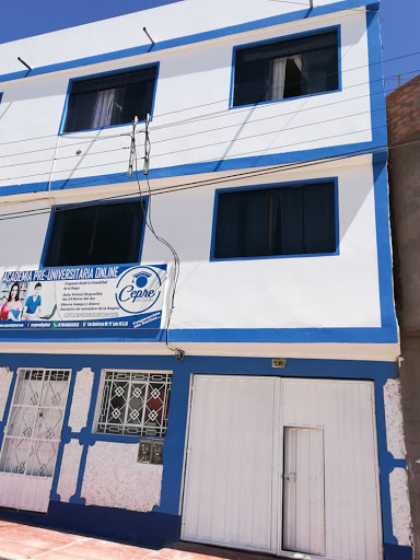 Academia Pre-Universitaria Cepredigital