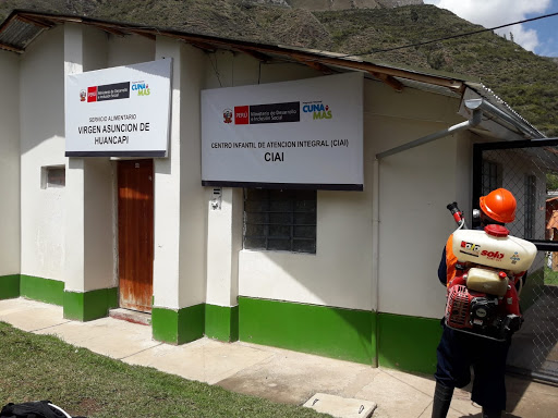 Fumigaciones Los Andes Ayacucho Peru