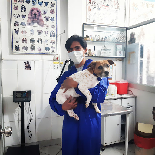 Clínica Veterinaria San Martín De Porres