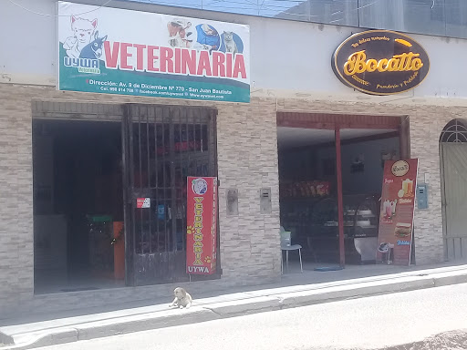 Veterinaria Uywa