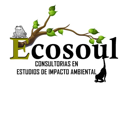 ECOSOUL EIRL