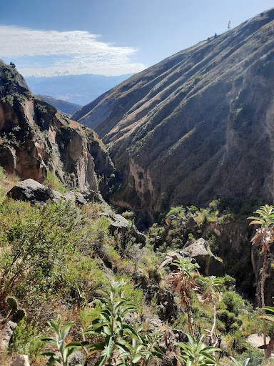 Cañones de Qorihuilca