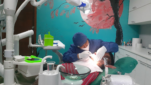 Odontología estética y rehabilitación dental