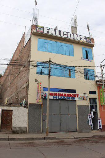 ACADEMIA FALCONS