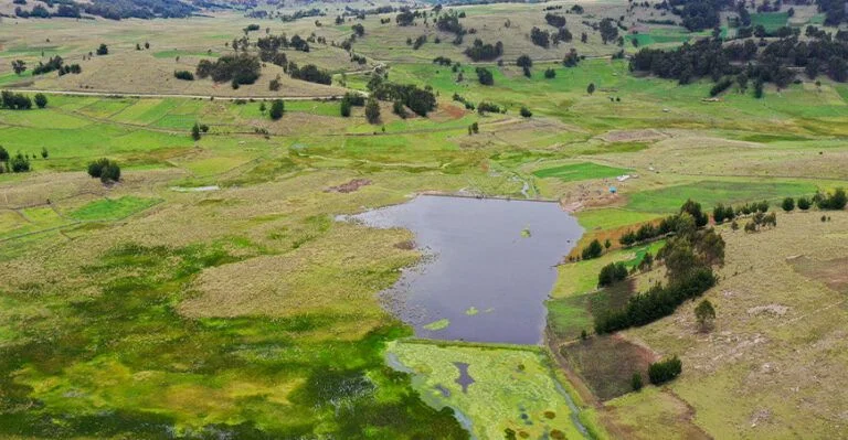 Nueva qocha en Ayacucho asegurará agua para riego de más de 90 familias