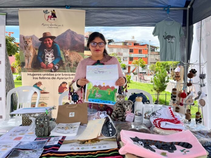 Treinta mujeres de Carhuacc Licapa participan en el monitoreo del gato andino, puma y gato pajonal mientras impulsan artesanías inspiradas en estas especies.