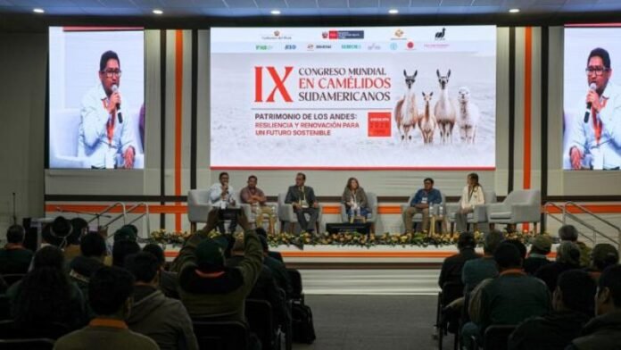 Trabajos realizados por especialistas ayacuchanos participaron en el IX Congreso Mundial de Camélidos Sudamericanos 2026.