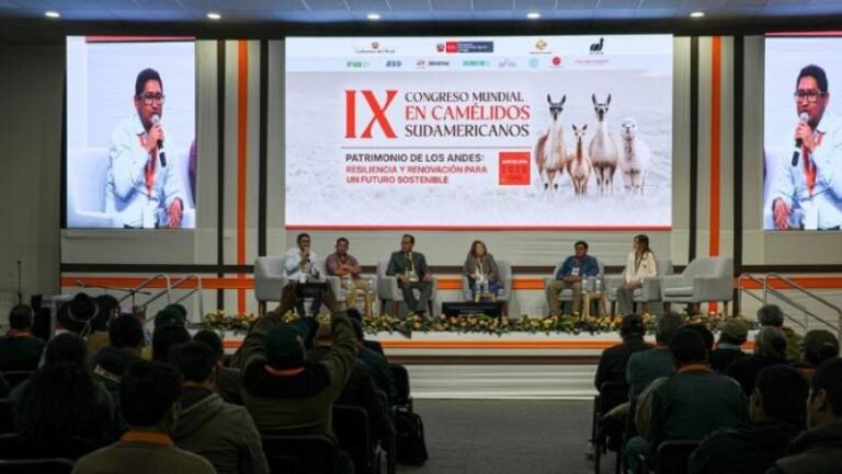 Trabajos realizados por especialistas ayacuchanos participaron en el IX Congreso Mundial de Camélidos Sudamericanos 2026.