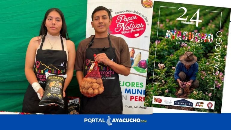 La publicación recoge variedades conservadas en Morochucos y promueve el reconocimiento de la papa ayacuchana como patrimonio agrícola y cultural.