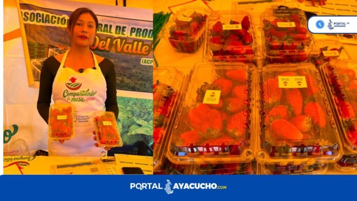 Asociación femenina promueve alimentos libres de pesticidas y busca posicionarse en mercados locales e institucionales con productos agroecológicos certificados.
