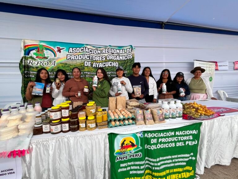 Más de 50 emprendedores de distintas provincias forman parte de una red que promueve la producción sostenible, el valor agregado y la comercialización de productos orgánicos.