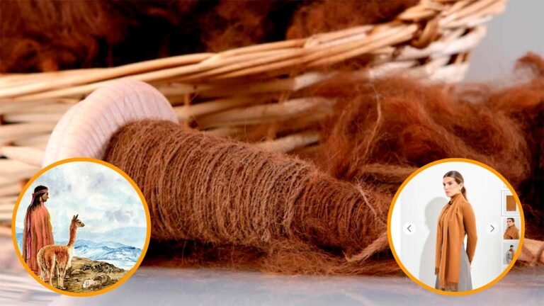 Ayacucho será sede del VII Foro Nacional de la Vicuña, donde especialistas y productores debatirán medidas para fortalecer el manejo sostenible de la especie.