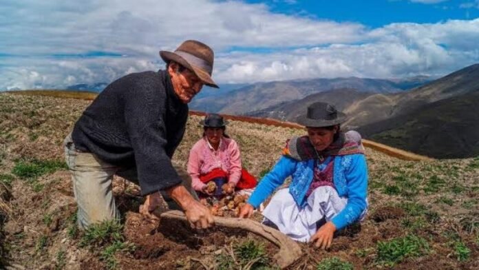El gremio alerta que el sector sigue sin soluciones en acceso a agua, crédito e infraestructura.