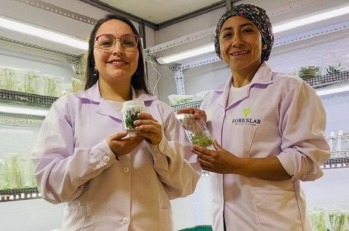 WhatsApp Image 2026-06-30 at 20.49.48 (3) Empresa de la región desarrolla alimentos enriquecidos para combatir la anemia con apoyo del programa del Ministerio de la Producción.