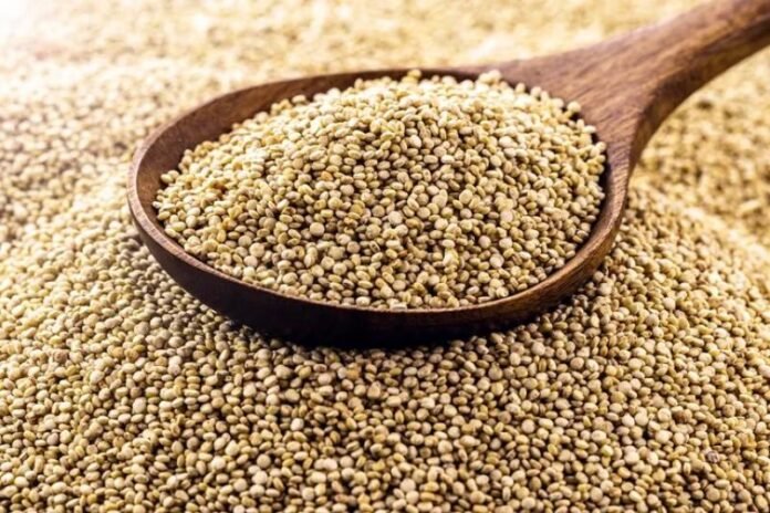 La región se mantiene entre las principales zonas productoras y contribuye al crecimiento de las exportaciones del grano andino hacia más de 50 mercados.