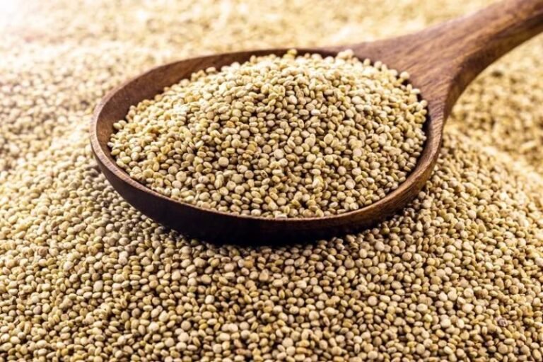 La región se mantiene entre las principales zonas productoras y contribuye al crecimiento de las exportaciones del grano andino hacia más de 50 mercados.