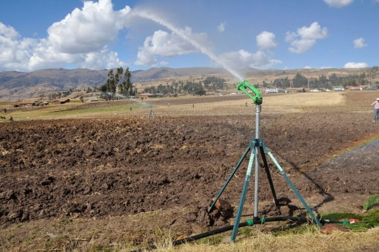 Proyecto de Agro Rural fortalece la disponibilidad de agua para la agricultura y la ganadería en 14 regiones mediante infraestructura para captar y almacenar lluvias.