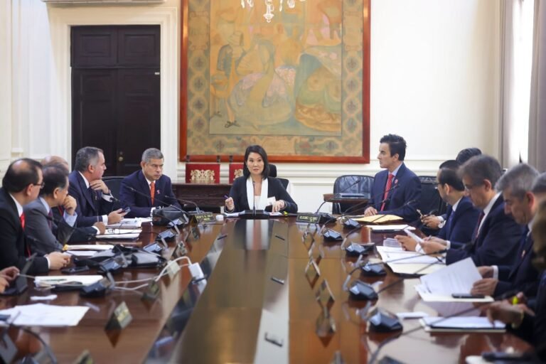 Janice Seinfeld, presidenta de Videnza Consultores, sostiene que las políticas públicas sólo generan resultados cuando logran trascender los cambios de gobierno.