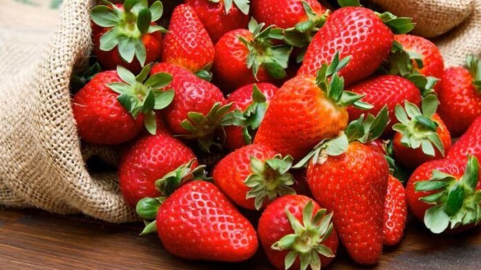 El crecimiento de la demanda internacional contrasta con desafíos como la falta de plantas certificadas y la necesidad de fortalecer la cadena productiva.