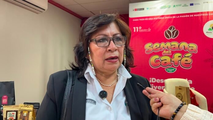 La asistencia técnica impulsa a unas 3 mil familias cafetaleras del VRAEM, con mejoras en producción, poscosecha y presentación para acceder a mercados nacionales e internacionales. La asistencia técnica impulsa a unas 3 mil familias cafetaleras del VRAEM, con mejoras en producción, poscosecha y presentación para acceder a mercados nacionales e internacionales.