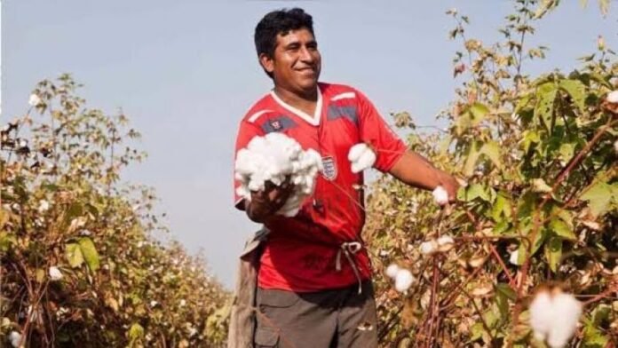 Ángel Manero sostuvo que ampliar la frontera agrícola requerirá impulsar nuevos cultivos para evitar una sobreoferta de productos de agroexportación y aprovechar mejor los proyectos de irrigación. Ángel Manero sostuvo que ampliar la frontera agrícola requerirá impulsar nuevos cultivos para evitar una sobreoferta de productos de agroexportación y aprovechar mejor los proyectos de irrigación.