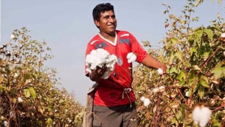 Ángel Manero sostuvo que ampliar la frontera agrícola requerirá impulsar nuevos cultivos para evitar una sobreoferta de productos de agroexportación y aprovechar mejor los proyectos de irrigación.