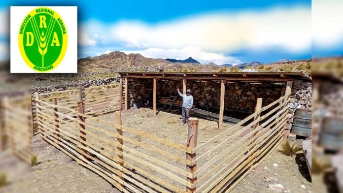 La Dirección Regional de Agricultura de Ayacucho mantiene una directiva de 2021 que aún considera una norma de la Contraloría que fue dejada sin efecto. La Dirección Regional de Agricultura de Ayacucho mantiene una directiva de 2021 que aún considera una norma de la Contraloría que fue dejada sin efecto.