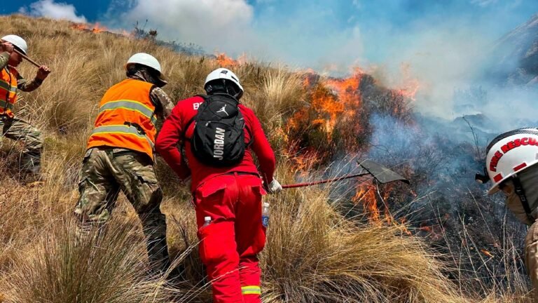 Huamanga concentra seis de las emergencias reportadas, mientras que la vegetación seca y las quemas vinculadas a actividades agropecuarias aumentan el riesgo de propagación.