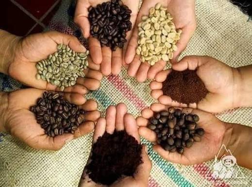 Ayacucho obtuvo 14 de los 16 reconocimientos alcanzados por el Vraem en un concurso internacional realizado en Francia. Ayacucho obtuvo 14 de los 16 reconocimientos alcanzados por el Vraem en un concurso internacional realizado en Francia.