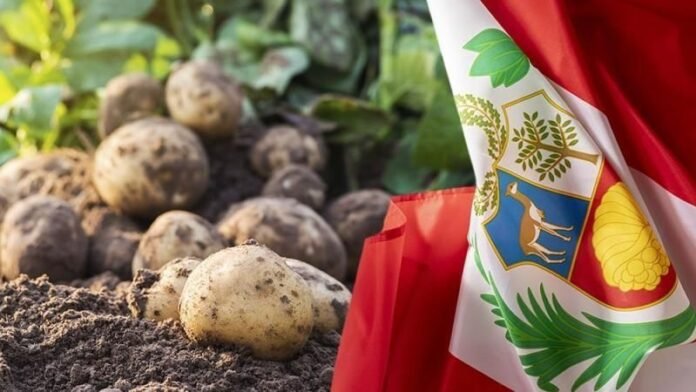 El departamento registró el mayor incremento entre las principales zonas agrícolas del país, según el informe del INEI. El departamento registró el mayor incremento entre las principales zonas agrícolas del país, según el informe del INEI.