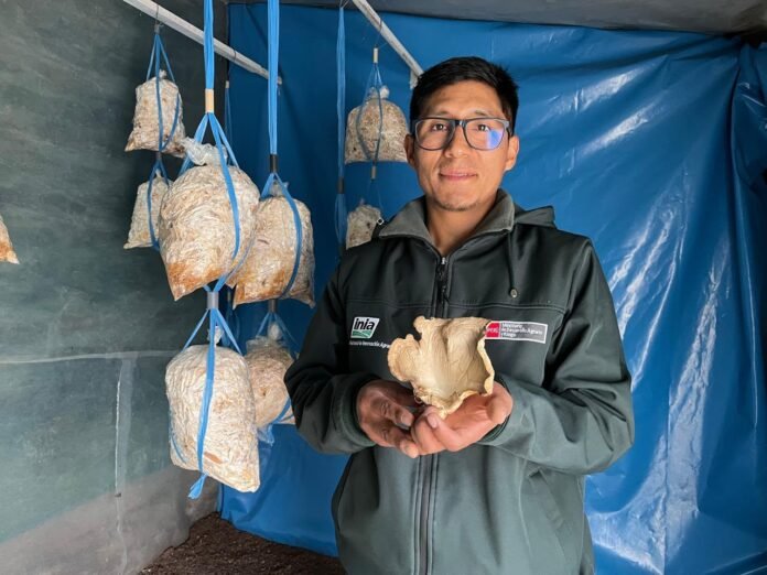 La tecnología impulsada por el INIA busca ampliar el consumo de este producto y promover su producción como alternativa económica para productores de la región.