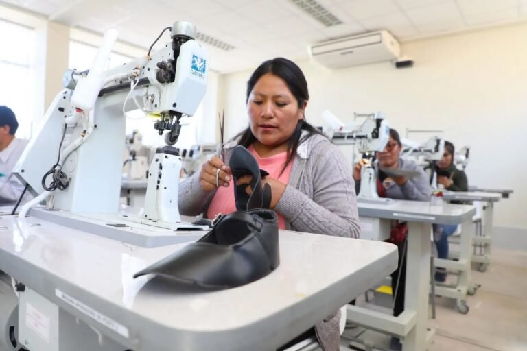 La SNI identifica problemas de competencia desleal, inseguridad, regulación y acceso al financiamiento.