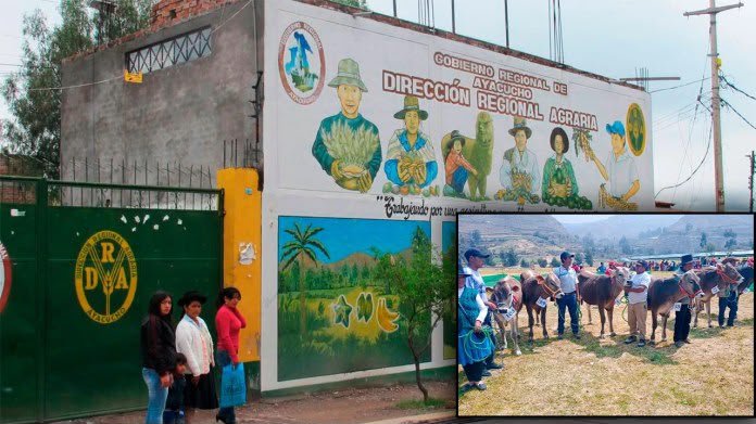 Las iniciativas corresponden a la Dirección Regional de Agricultura y reúnen un presupuesto de S/19.7 millones. Las iniciativas corresponden a la Dirección Regional de Agricultura y reúnen un presupuesto de S/19.7 millones.