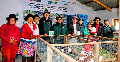 La intervención del Proyecto Especial Sierra Centro Sur benefició a 423 familias productoras de seis comunidades de Cangallo. La intervención del Proyecto Especial Sierra Centro Sur benefició a 423 familias productoras de seis comunidades de Cangallo.