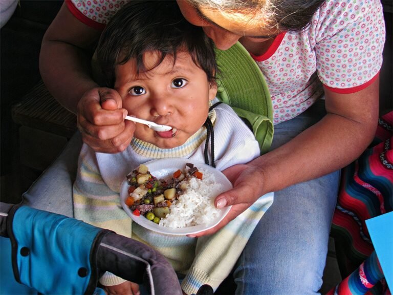 La próxima gestión regional tendrá entre sus desafíos atender la anemia, la pobreza y las brechas educativas.