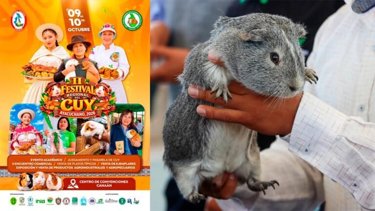 La rueda de negocios se realizará durante el Festival Regional del Cuy, que reunirá actividades comerciales, gastronómicas y de capacitación.