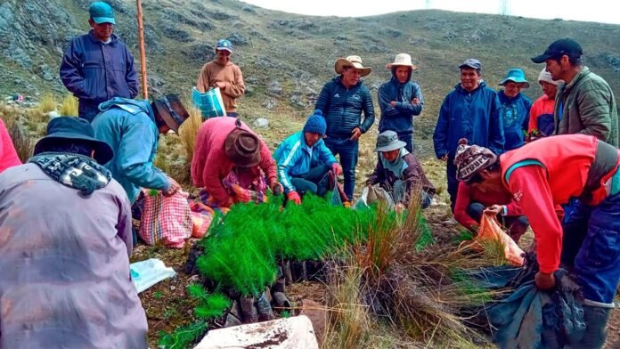 Un informe del Consejo Regional advierte recursos públicos sin ejecutar y avances físicos nulos en dos proyectos. Un informe del Consejo Regional advierte recursos públicos sin ejecutar y avances físicos nulos en dos proyectos.