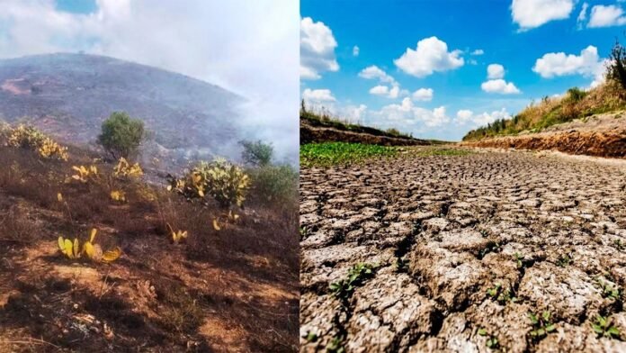 La emergencia alcanza a 76 distritos y exige medidas para reducir los riesgos de desabastecimiento y proteger las actividades agrícolas y ganaderas.