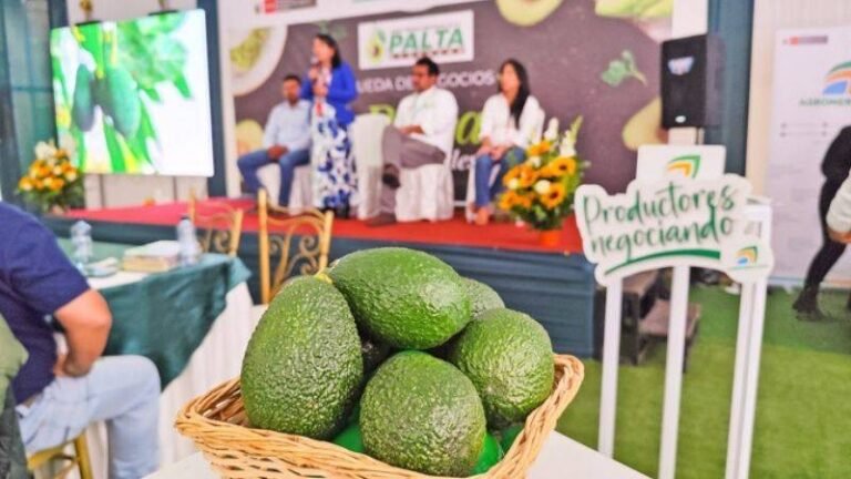 La rueda de negocios se realizará el 20 de noviembre y conectará a organizaciones agrarias con empresas agro exportadoras y procesadoras. La iniciativa busca abrir oportunidades comerciales en Europa y Chile.