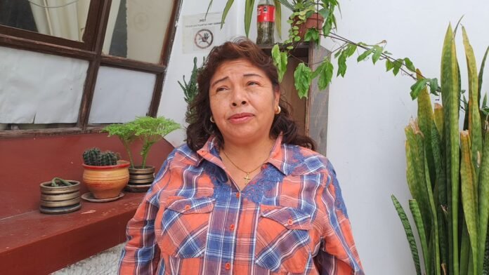 Rosita Ayala, presidenta regional del Colectivo Agrario de Ayacucho, alerta sobre la pérdida de cultivos, pastizales y animales, y reclama asistencia técnica y entrega de semillas para recuperar la producción.